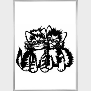 2 Kattekillinger i alu ramme