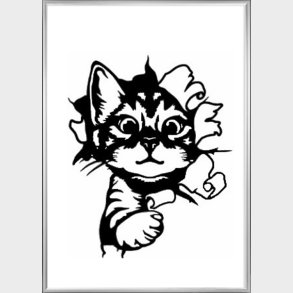Kattekilling gennembryder billedet 70 x 50 cm med alu. ramme